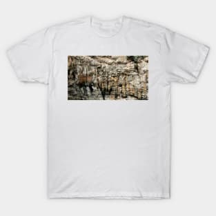 Mother natures art work T-Shirt